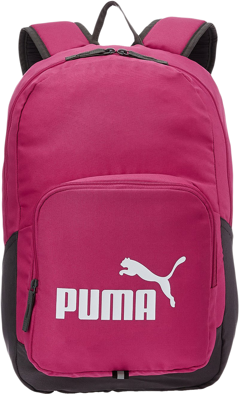 Travel Bag Png Transparent Image - Puma Bags Png (1276x1380)