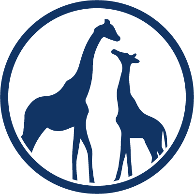 One-day Safari - Ipad Graphics - Giraffe Vinyl Decal Sticker (401x401)