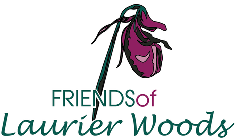 It May Be Boardwalk Repairs, Improved Trail Drainage, - Melanie Fronckowiak (470x274)