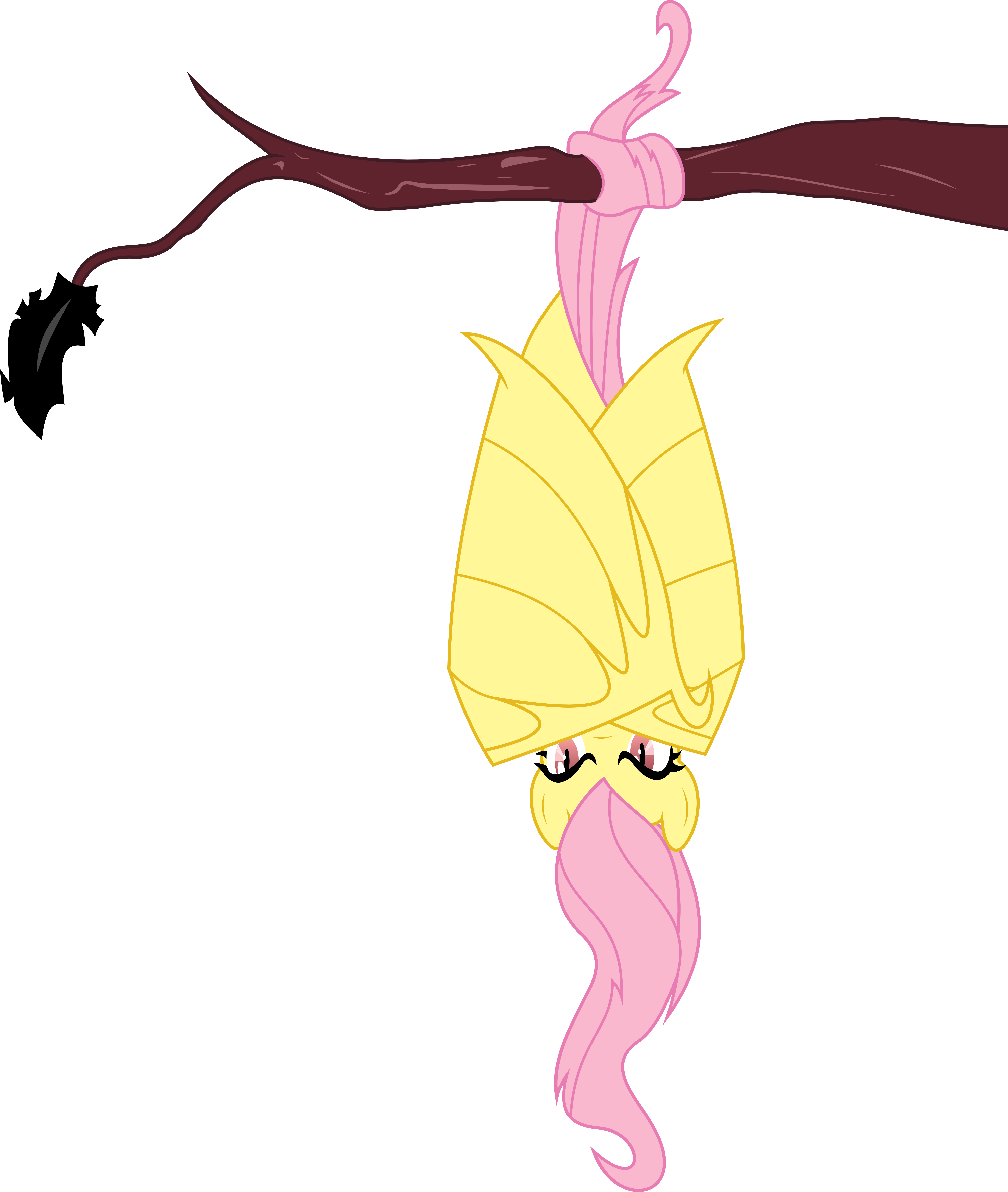 Darknisfan1995, Bat Pony, Bats , Flutterbat, Fluttershy, - Mlp Flutterbat Vector (5000x5912)