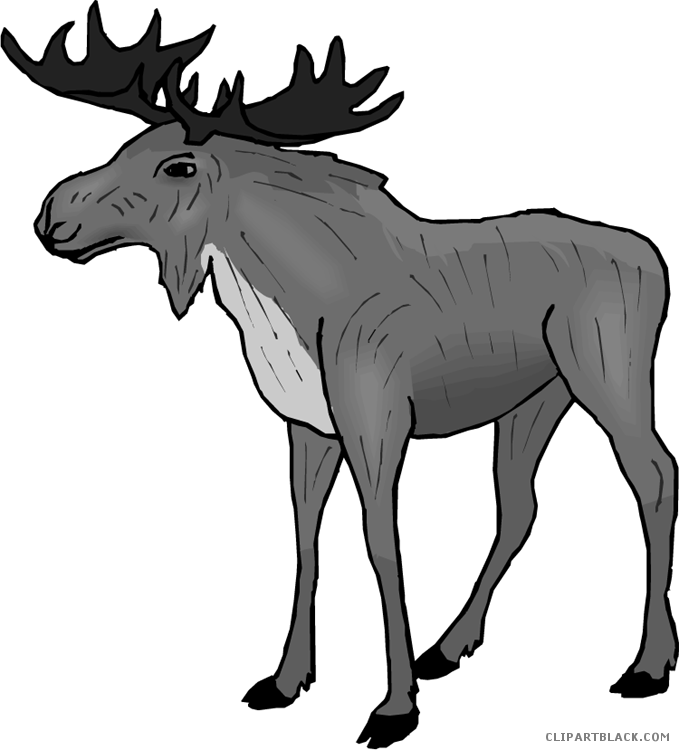 Moose Animal Free Black White Clipart Images Clipartblack - Moose Whisperer Rectangle Magnet (679x750)