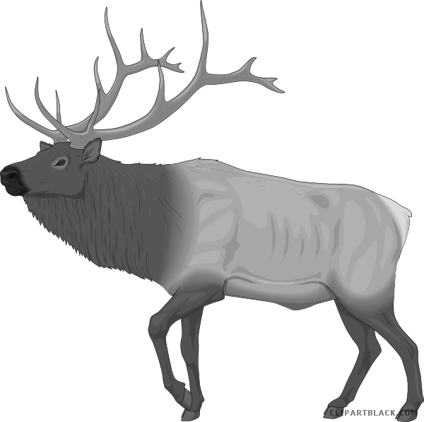 Moose Animal Free Black White Clipart Images Clipartblack - Elk Clip Art (600x597)