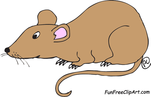 Laboratory White Rat Scientist Vector Cartoon Vector - Clipart Picture Of Rat (500x320)