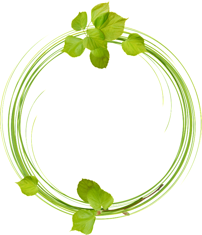 Sencillo Y Generoso Verde Corona Png Material Transparente - Wil N.v. (650x758)