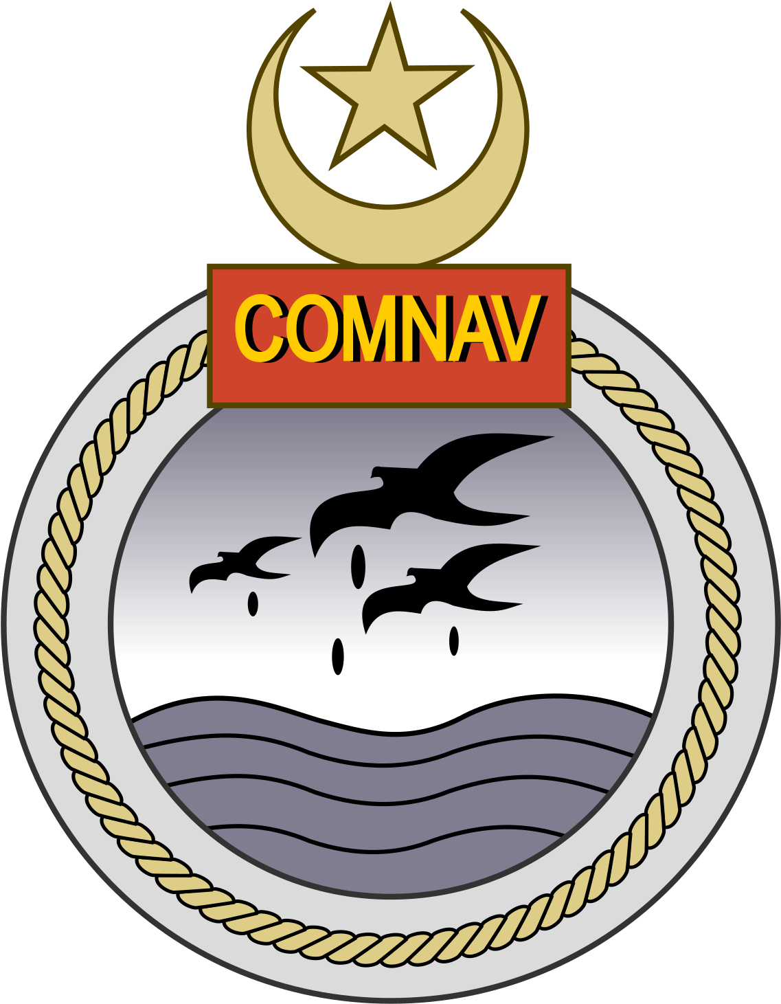 Navy Aviation Unit Symbol Images Gallery - Pakistan Air Intelligence Logo (1200x1539)