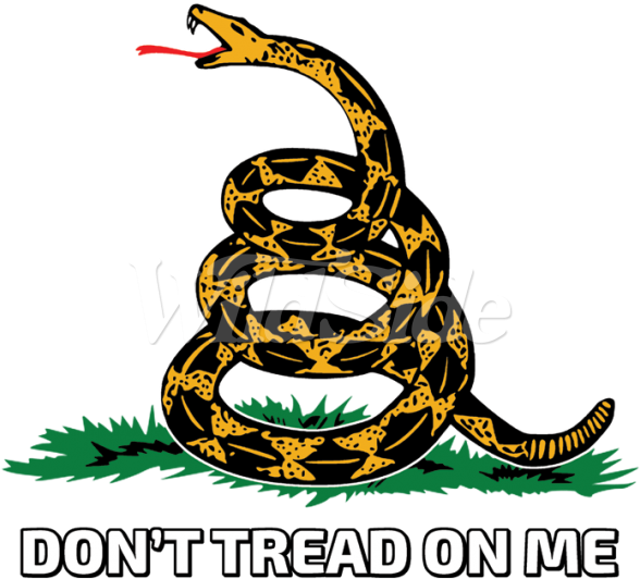 Don't Tread On Me With Snake - Don T Tread On Me Tattoo Design (600x600)