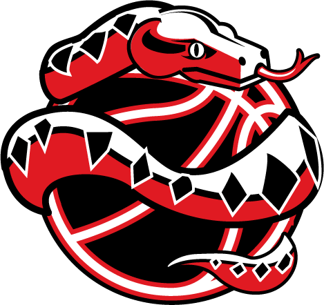 Vipers Tvlbsktbl Logo - Logo (469x442)