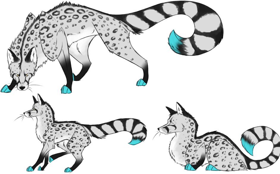 Spotted Genet Altsona By Shadow-carlisle - Spotted Genet Altsona By Shadow-carlisle (1024x683)