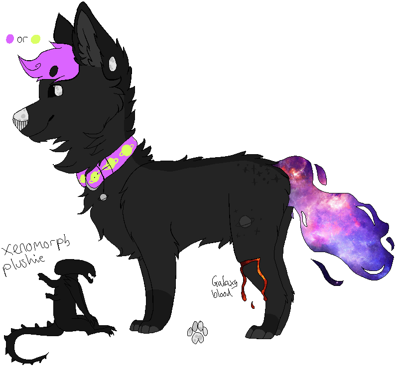 What - Animated Film (795x736)