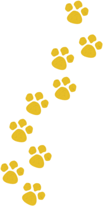 It Is Well Known That Gang Related And Other Attire - Dress Code (339x676)