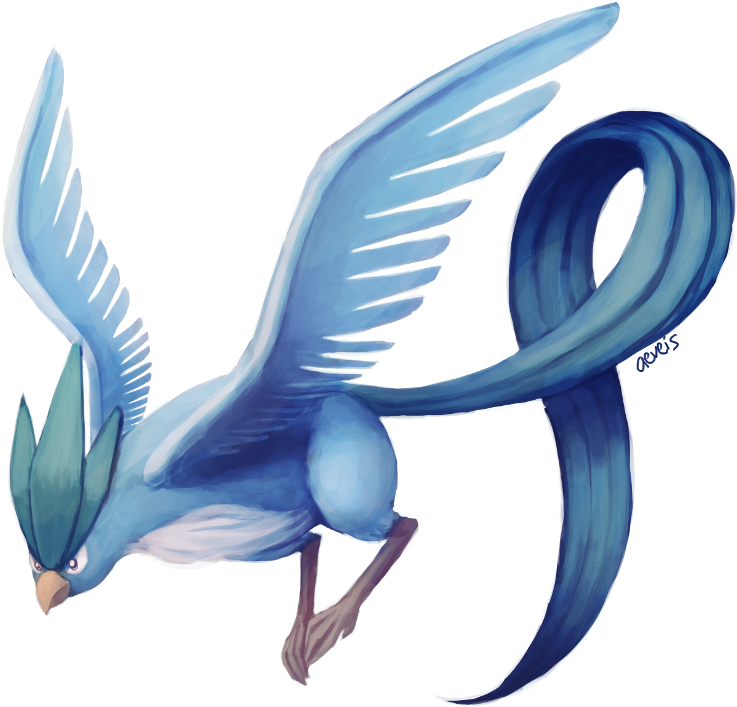 Articuno - Blue-footed Booby (800x800)