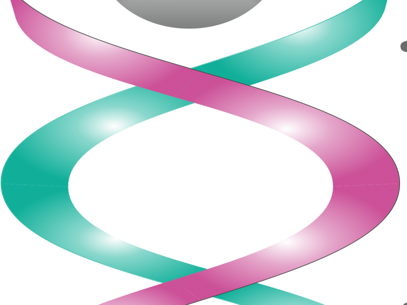 Photo Gallery - Circle (800x600)