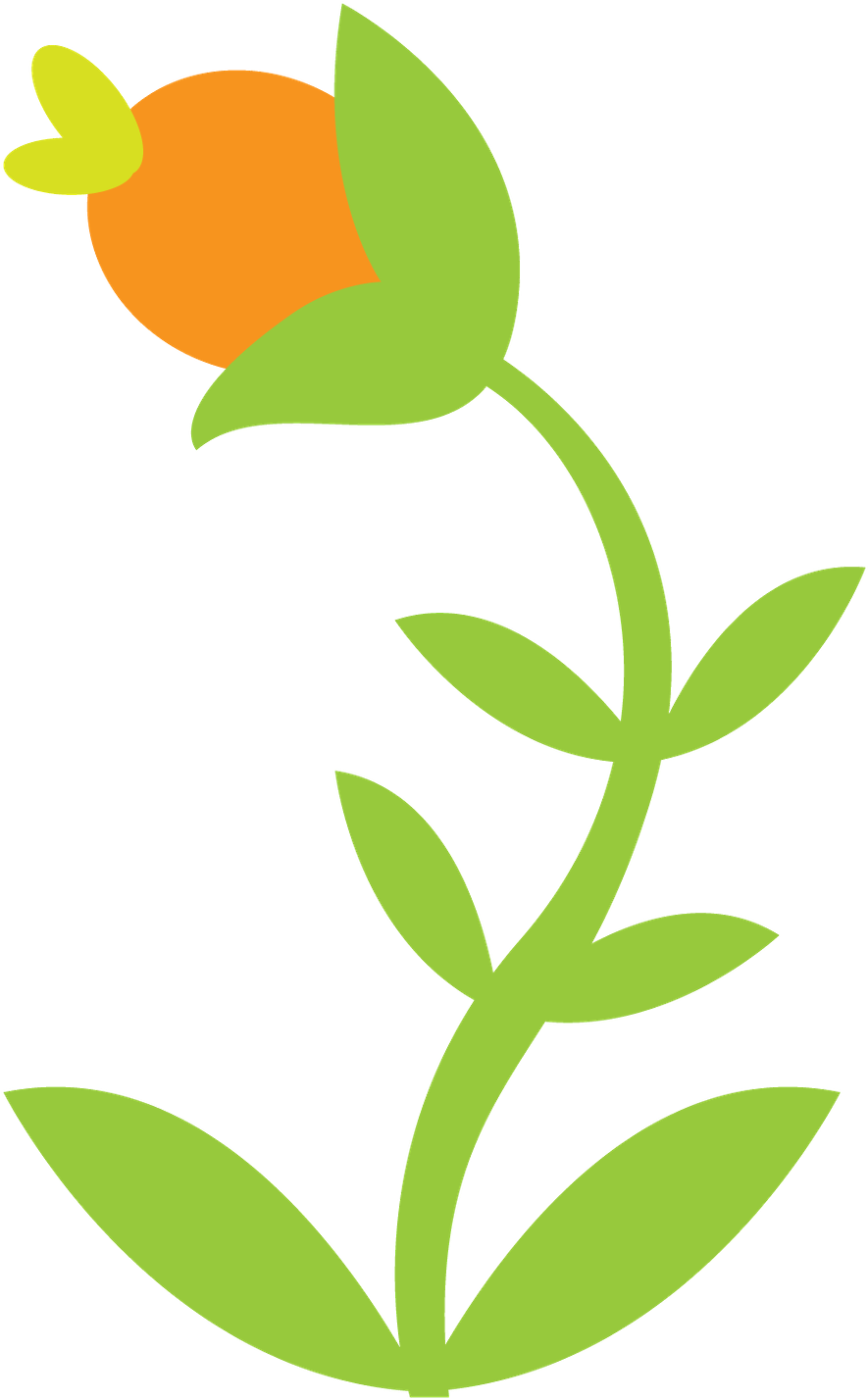 Floresta E Safari - Floresta E Safari (900x1443)