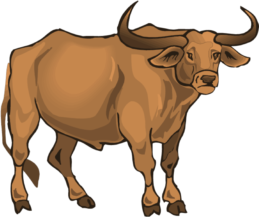 Lost Creek Longhorn - Longhorn Steakhouse (900x747)