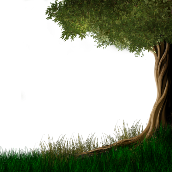 Arbre,png - Зеленая Трава На Прозрачном Фоне (600x600)