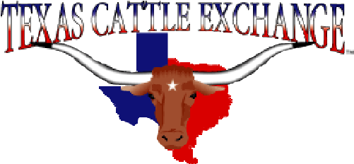 Logo - Texas Cow (500x255)