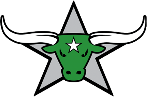 Longhorn Athletics - Lone Star Middle School Logo (500x500)