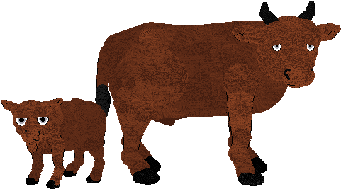 Some People Over At Seeing Stars Were Saying They Wished - Calf (487x300)