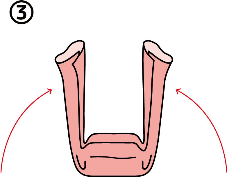 Lift The Left And Right Ends Of The Tenugui - Lift The Left And Right Ends Of The Tenugui (780x780)