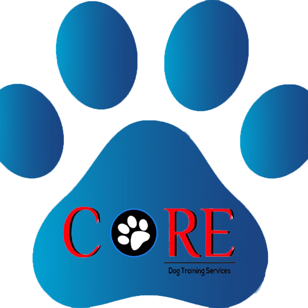 Package Prices - Huellas Perro Paw Patrol (1080x1080)