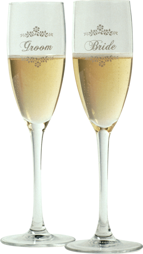 Free Png Wine Glass Png Images Transparent - Pocket Songs Karaoke Cdg #1453 - Runaway Bride (480x853)