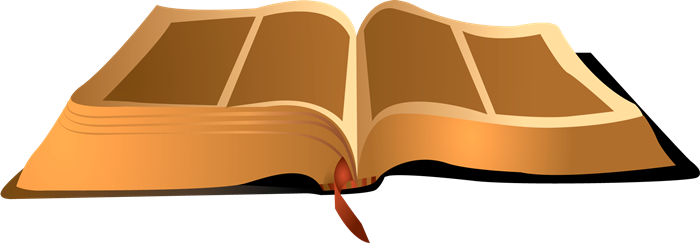 You Might Also Like - Bible (700x243)