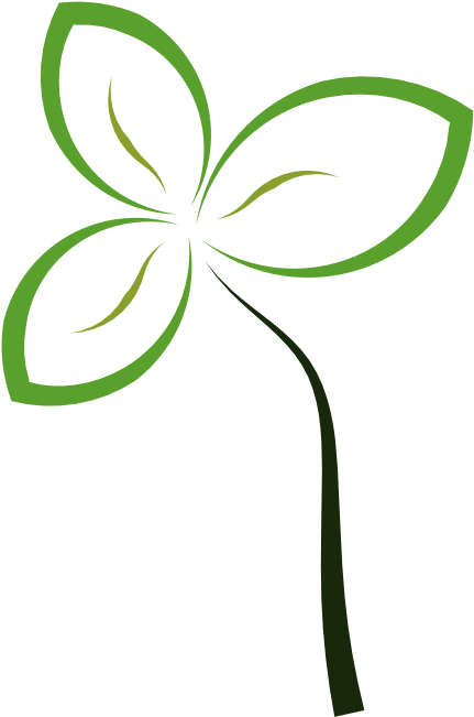 Created With Raphaël - Sprout Clipart (600x750)