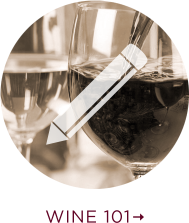 Wine-101 - Poster (400x500)