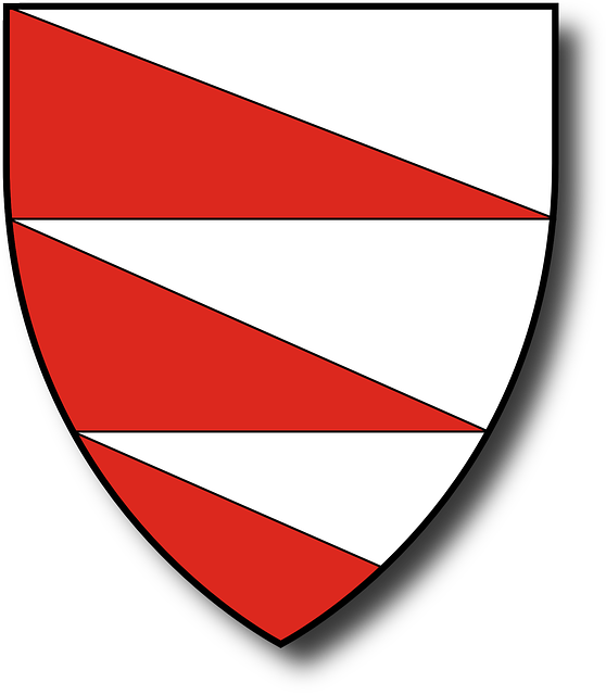 Hungarian Coat, Arms, Hungary, Family, Hun, Hungarian - Hungary (558x640)