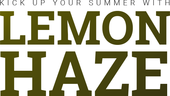 Trump Pence 2016 Yard Sign (543x308)