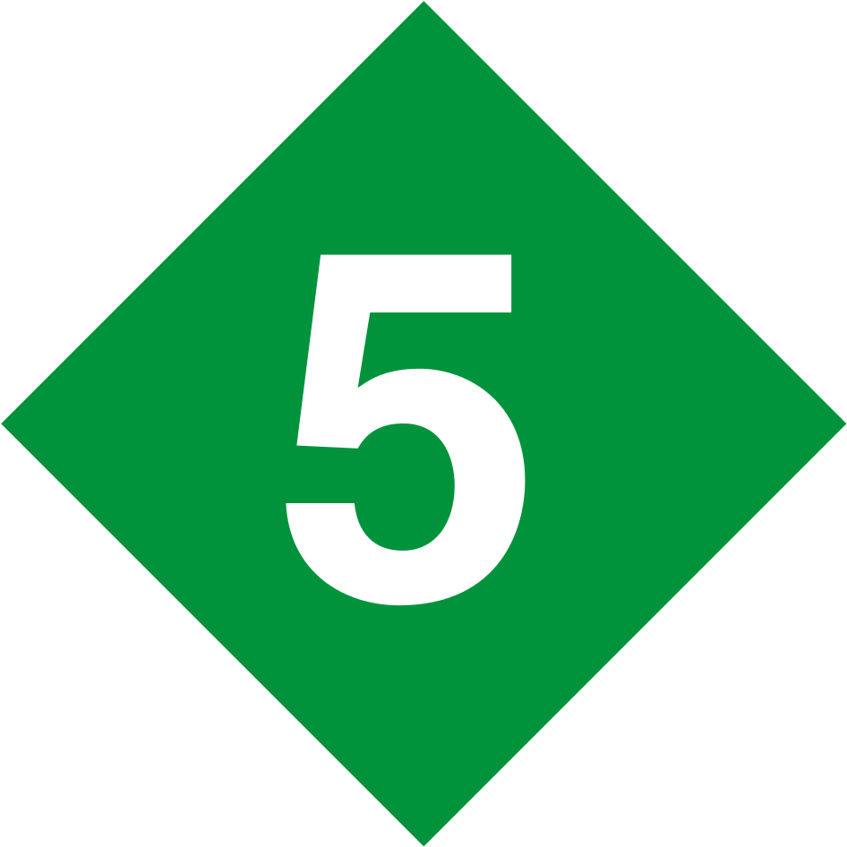 Nycs Bull Trans 5d - Diamond 6 Train Logo (1024x1024)