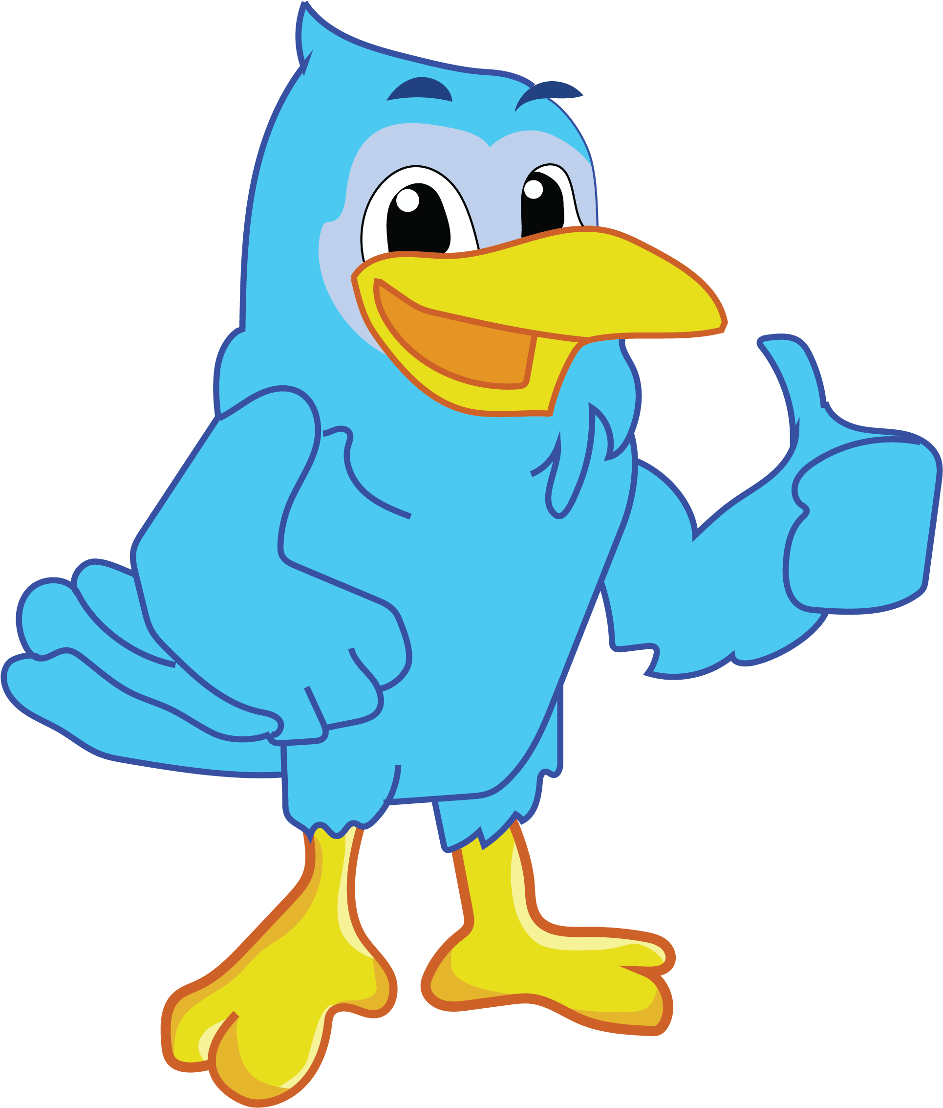 Blue Jay Ac 832 917 - Blue Jay (3300x3301)
