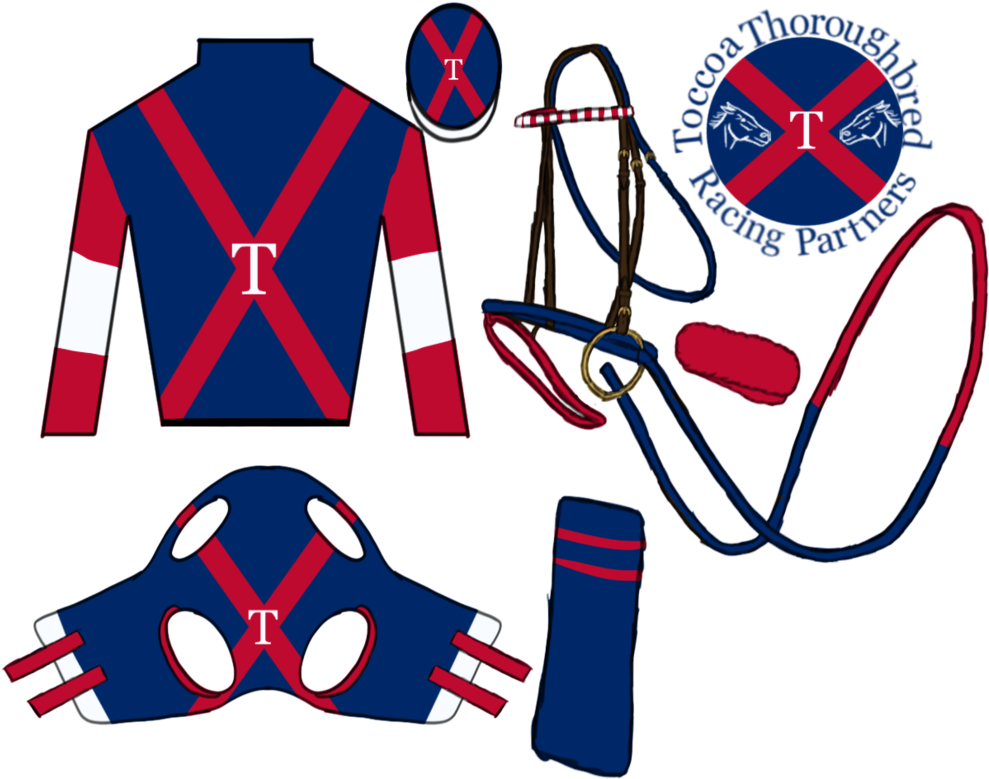 Toccoa Thoroughbred Racing Partners - Toccoa Thoroughbred Racing Partners (1001x799)