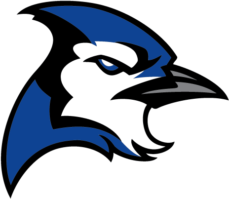 Blue Jay - Blue Jay Stainless Steel Travel Mug (800x800)