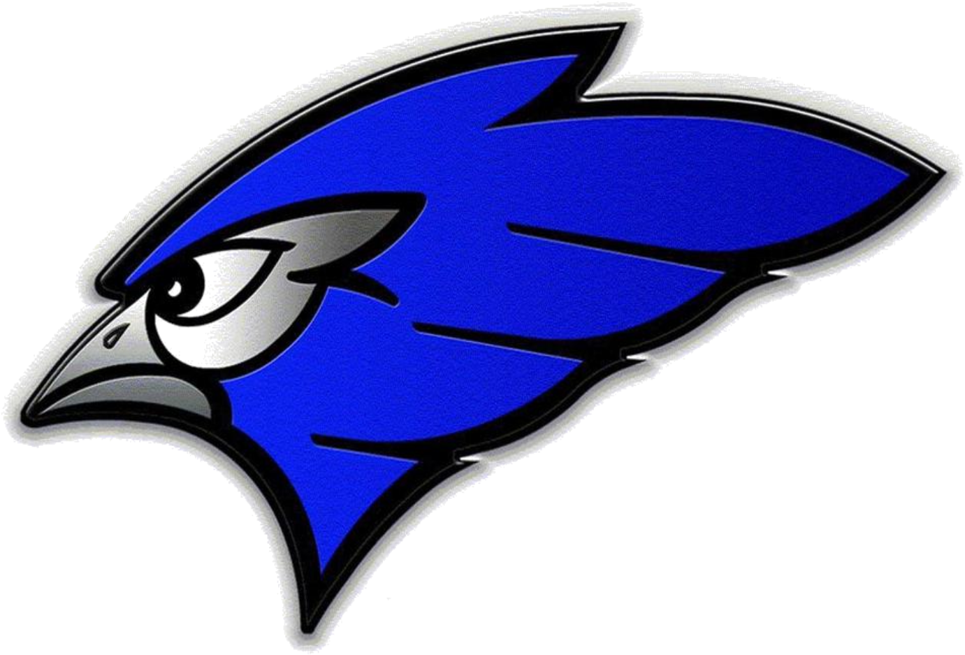 Blue Jay Mascot Image - North Judson San Pierre High School (1453x1018)
