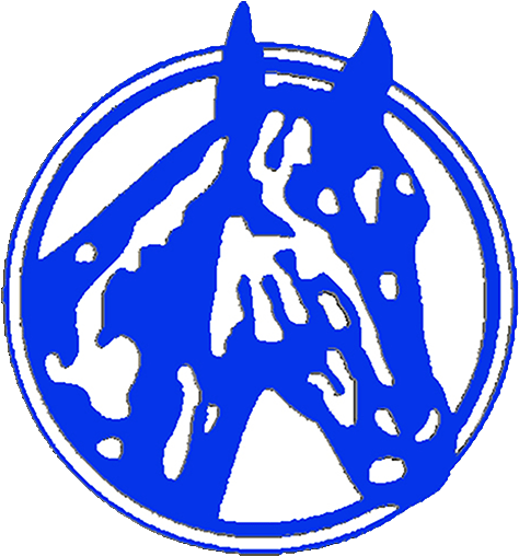 Org/wp App Pic Blu 512 Site Icon - Org/wp App Pic Blu 512 Site Icon (512x512)