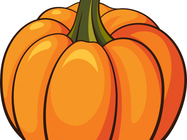 Squash Clipart Things - Squash Clipart (640x480)