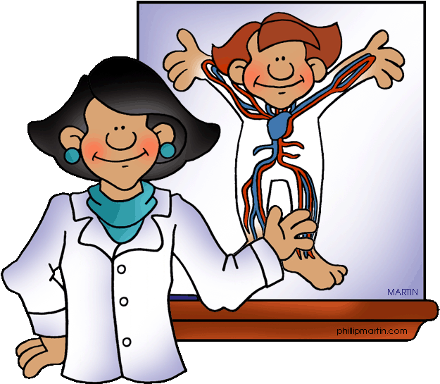 Human Circulatory System - Human Body Clipart (648x576)