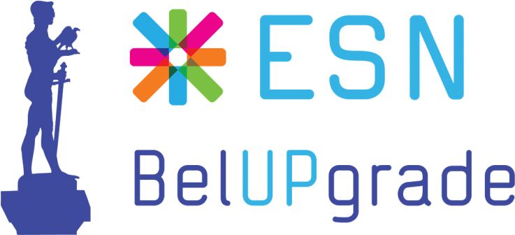 Memory Card - Erasmus Student Network (800x399)