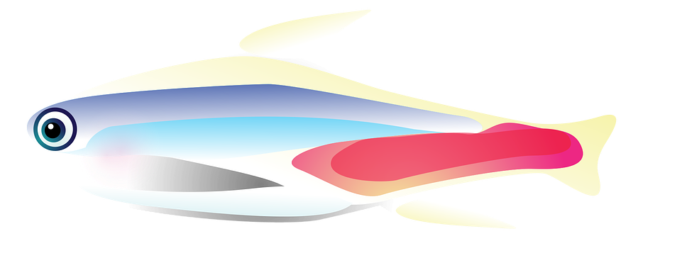 Exotic Clipart Rest - Illustration (960x480)