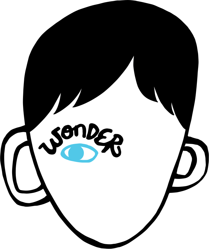 Wonder - First Edition: Wonder By Palacio R. J. (690x821)