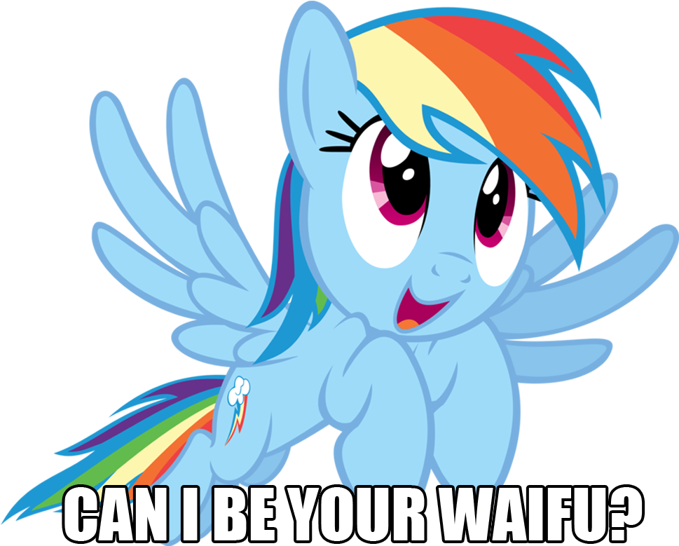 Rainbow Dash Twilight Sparkle Applejack Pony Mammal - My Story Was Cool (1024x823)