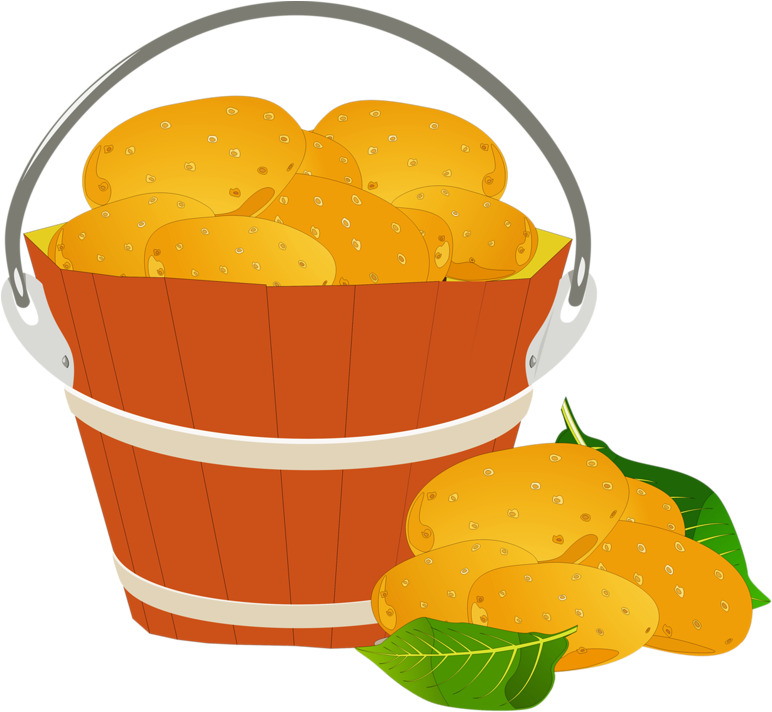 Potato Pancake Clip Art - Fast Food (800x714)