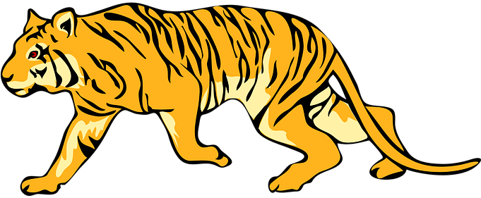 Tiger Stripes Animal Tail Mammal Hunting S - Tiger Walking Clipart (680x340)