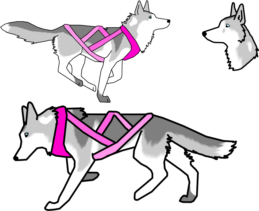 Sledding Titles For Bmc-kennels By *wolfrunskennels - Dog Catches Something (987x780)