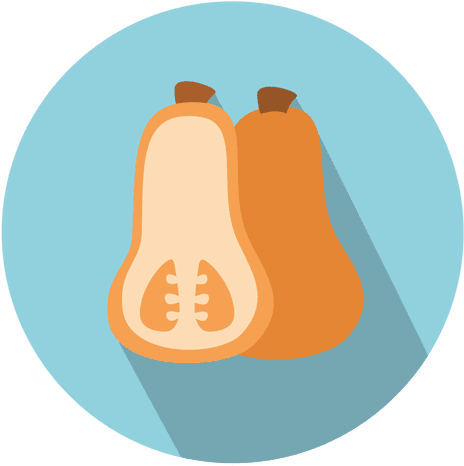 Squash Circle Icon Transparent Png - Just Say (512x512)