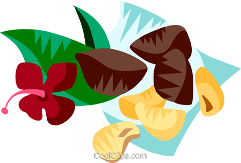 Brazil Nuts Royalty Free Vector Clip Art Illustration - Brazil Nuts Clip Art (480x326)