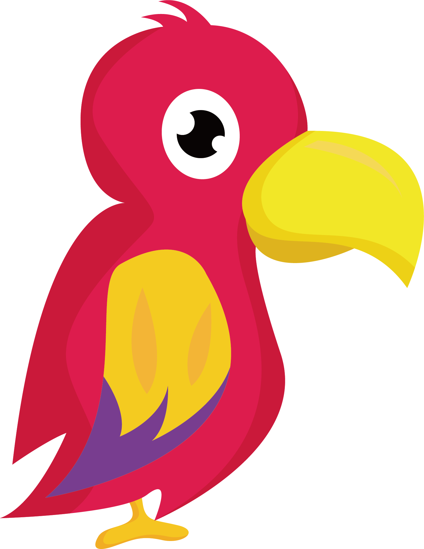 Parrot Beak Bird Illustration - Parrot (1484x1920)