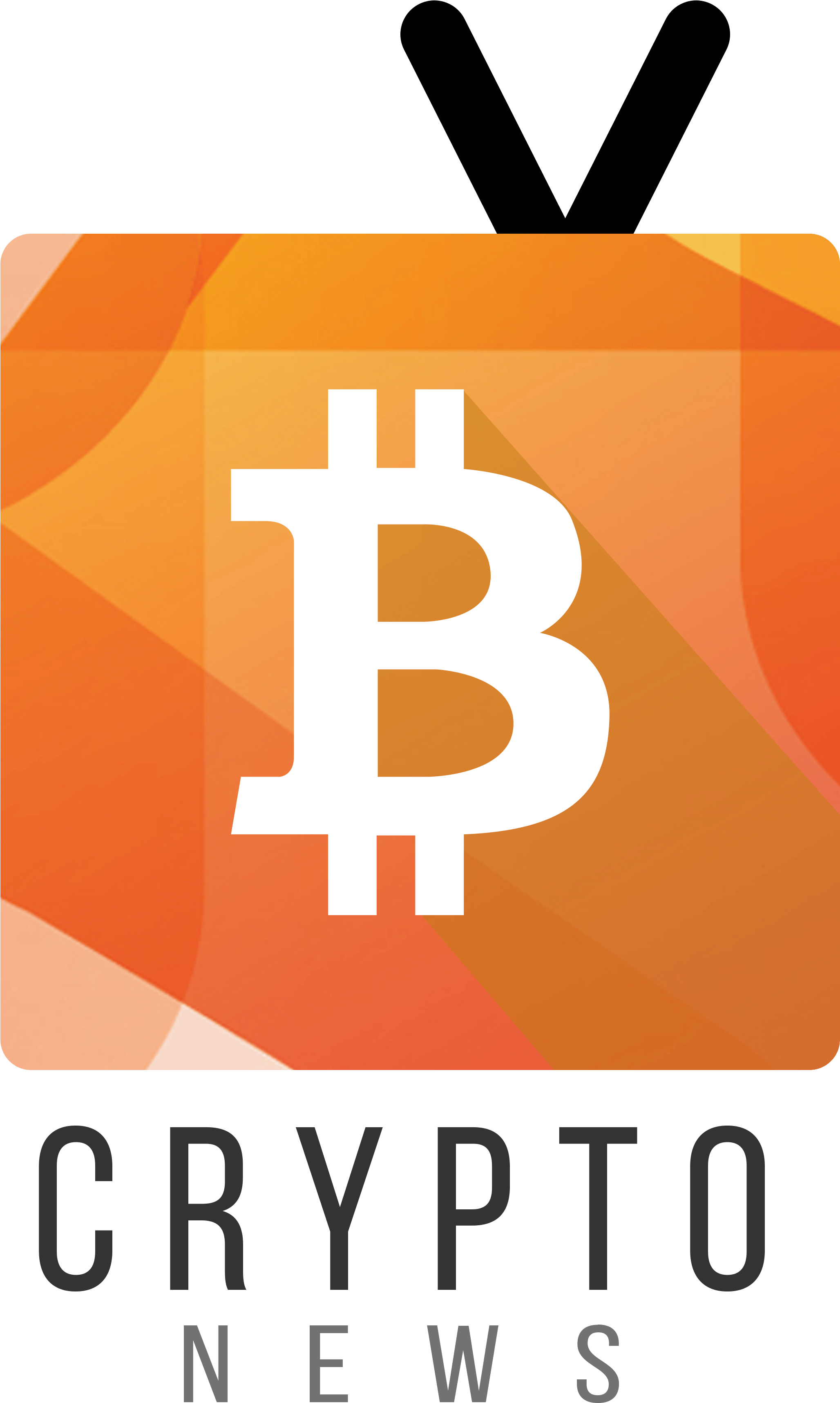 Crypto-news India - Ultimate Guide To Bitcoin (2400x3600)