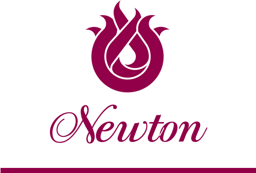 Blonde Ale Newton Craft Beer - Beer (500x370)